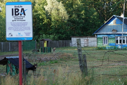 zona_otczuzdenija__elleni_vendras.png zona_otczuzdenija__elleni_vendras.png