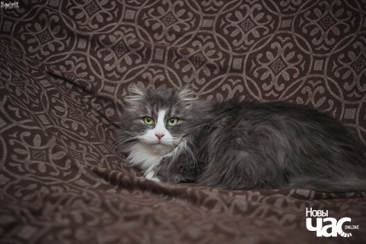 zvhvatduhcc_logo.jpg zvhvatduhcc_logo.jpg