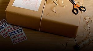 000013_00000081980.jpg 000013_00000081980.jpg