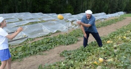Лукашэнка загадаў пабудаваць цяпліцы па ўсёй Беларусі