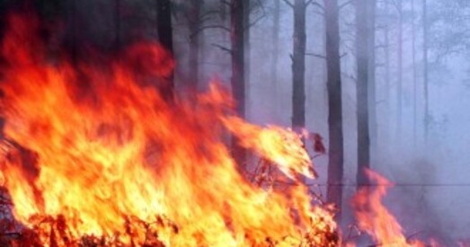 Гарыць Столінскі палігон. Зафіксаваныя выбухі боепрыпасаў