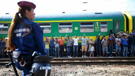 0_18693390_403_00.jpg 0_18693390_403_00.jpg