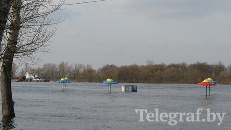 11958dfee29b6709f48a9ba0387a2431.jpg 11958dfee29b6709f48a9ba0387a2431.jpg