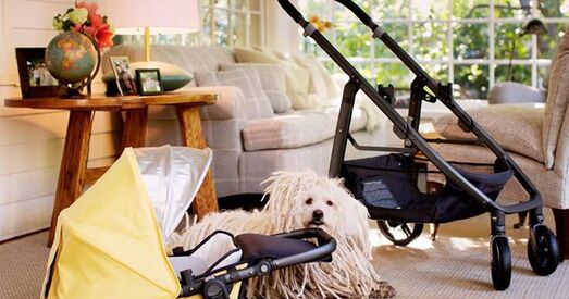 Стваральнік Facebook Цукерберг на два месяцы сыдзе ў дэкрэт