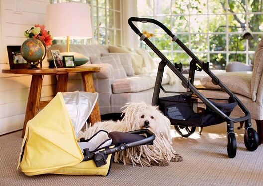 11988410_10102486605494451_1318261316731538849_n.jpg 11988410_10102486605494451_1318261316731538849_n.jpg