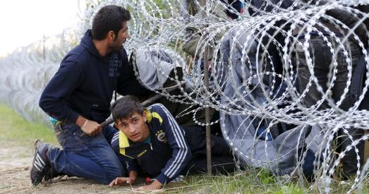 Венгрыя адгарадзілася ад Сербіі калючым дротам