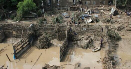 У Тбілісі тыгр, які ўцёк з заапарка, забіў чалавека
