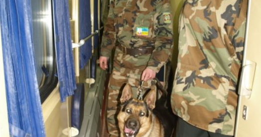 «Ну што, паўстанцы, выходзьце»