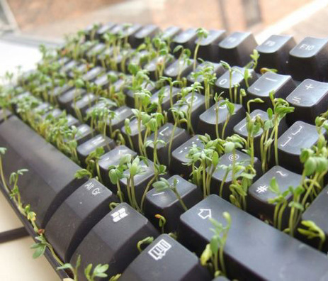 2135586_e57cd05c.jpg 2135586_e57cd05c.jpg