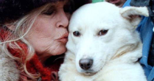 Брыджыт Бардо пагражае Януковічу "скандалам на ўвесь свет"