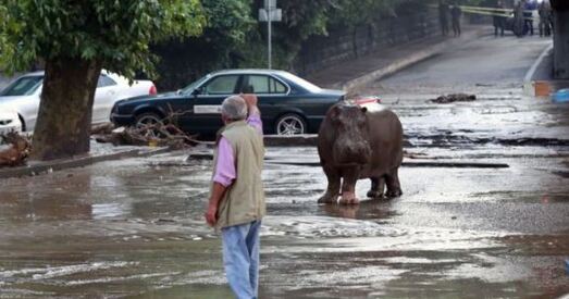 Беларуска з Тбілісі: «Такое ўражанне, што ты ў цэнтры ваенных дзеянняў»