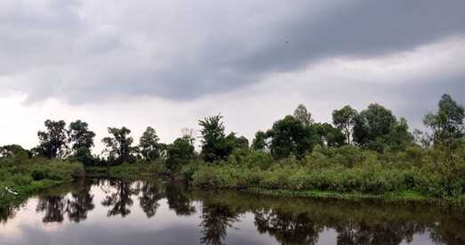 Палескія курорты