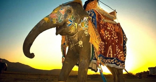 Ці прагулка на слане з'яўляецца этычнай?