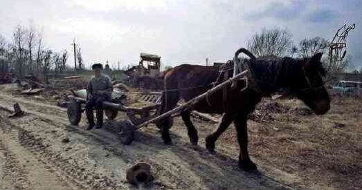 Адмоўная дададзеная вартасць