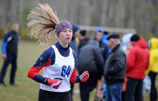 4203762.jpg 4203762.jpg