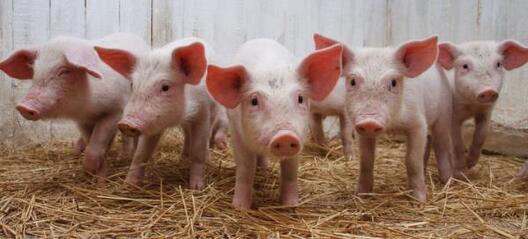 631_27.jpg 631_27.jpg