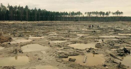 Нелегальная здабыча бурштыну: Сотні гектараў Палесся ператвораныя ў марсіянскую паверхню (фота + відэа)
