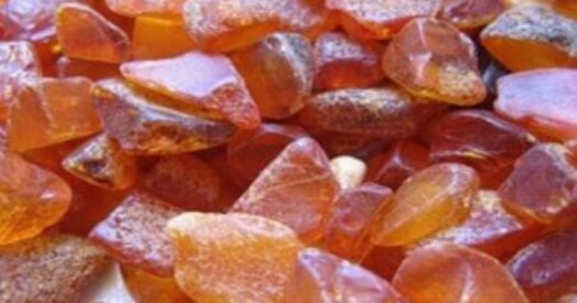 “Бурштынавая война” на ўкраінскім Палессі