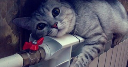 У Мёрах камунальныя службы перадумалі адразаць дамы ад ацяплення