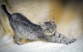 a70dab11c90d06b809d0be230731762a.jpg a70dab11c90d06b809d0be230731762a.jpg