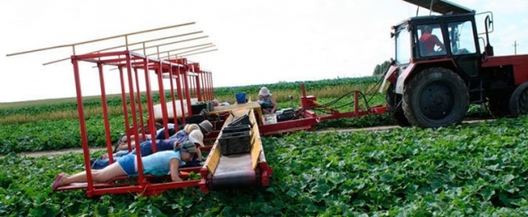 aa1c81a47f7cb38fd63d71bf7d4c8b06.jpg aa1c81a47f7cb38fd63d71bf7d4c8b06.jpg