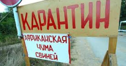 Украіна забараніла ўвоз свініны з Беларусі