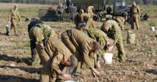 Эксперт пра альтэрнатыўную службу: незразумела, як будуць даказвацца рэлігійныя перакананні