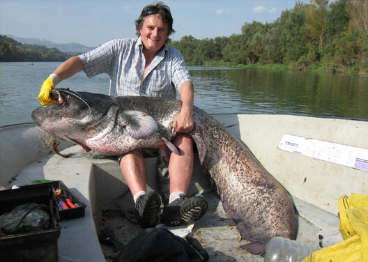 andrew_mayers_with_his_14_001.jpg andrew_mayers_with_his_14_001.jpg