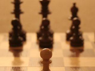 azin_u_poli.jpg azin_u_poli.jpg