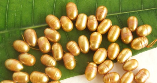 Высокія пагрозы, «галубятні» і залатая бульба