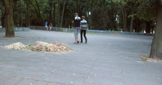 Баранавічы. На добраўпарадкаванне паркаў грошай няма