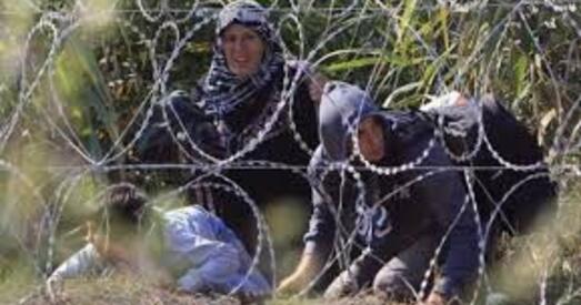 Жан-Іў Бушардзі: Перадумоў для вялікага прытоку ў Беларусь бежанцаў з Блізкага Усходу пакуль няма