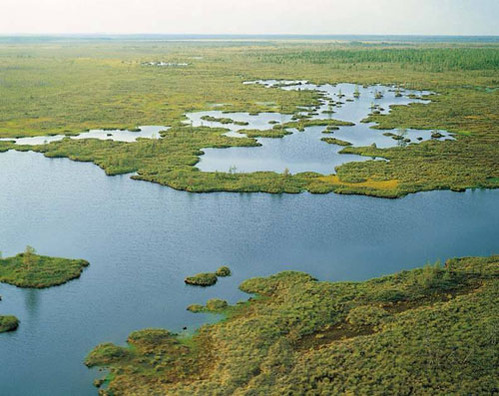 boloto_dlia_klimata2.jpg boloto_dlia_klimata2.jpg