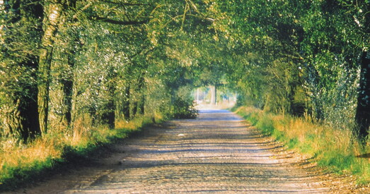 Дарогу, па якой хадзіў Якуб Колас, хочуць унесці ў спіс гістарычна-культурных каштоўнасцяў Беларусі