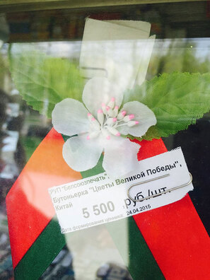 butonjerka_0.jpg butonjerka_0.jpg