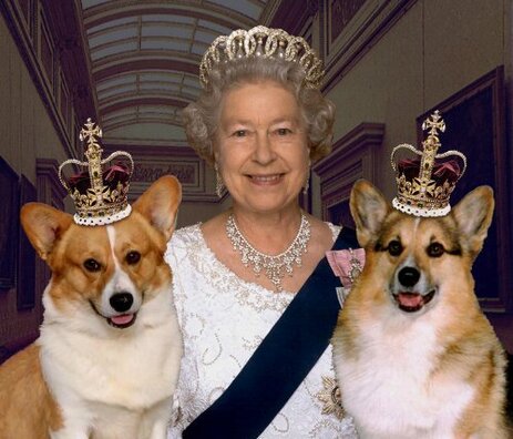 c2ae5cb2426d96ed19a50b0b7d7c8e11.jpg c2ae5cb2426d96ed19a50b0b7d7c8e11.jpg