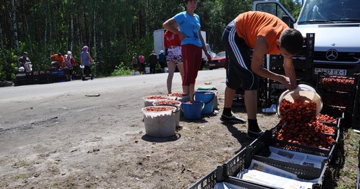 Клубнічны бонус да заробку