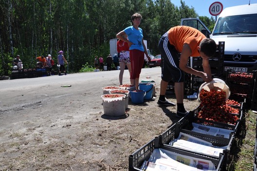 c39b9a47811f1eaf3244a63ae8c22734.jpg c39b9a47811f1eaf3244a63ae8c22734.jpg