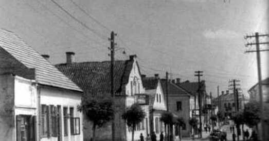 Крэскі да партрэта мастачкі са Слоніма