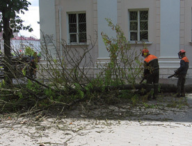 cba2a355dc11678a805de3839a03e32d.jpg cba2a355dc11678a805de3839a03e32d.jpg