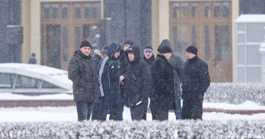 Грузаперавозчык: Маўчаць не будзем, нас «кінулі» на дзясяткі тысяч еўра