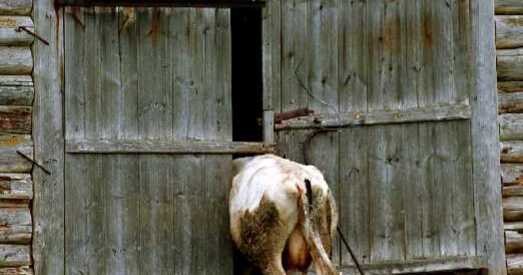 Няўжо гэта здарылася?