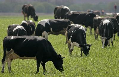 d86ea612dec96096c5e0fcc8dd42ab6d.jpg d86ea612dec96096c5e0fcc8dd42ab6d.jpg