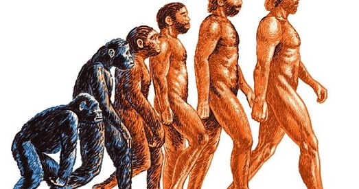 Дарвін і новы Ватыкан