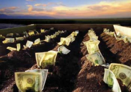 dengi_zemlia.jpg dengi_zemlia.jpg