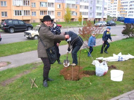 drevy_pamiacj_carkashyna_i_zyznieuskaha.jpg drevy_pamiacj_carkashyna_i_zyznieuskaha.jpg