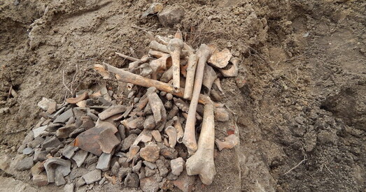 У Брэсцкай крэпасці — будаўнічыя работы. Косткі людзей валяюцца пад нагамі (ФОТА)