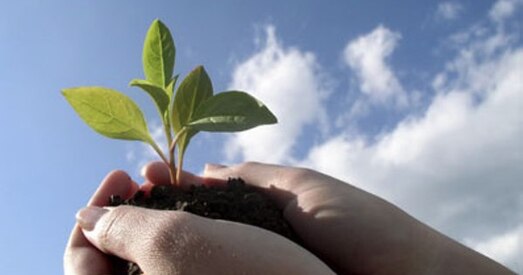 Дэмакратычныя сілы ствараюць Беларускі экалагічны камітэт