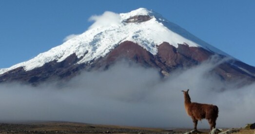 Сноўдэн прамяняў Беларусь на Эквадор