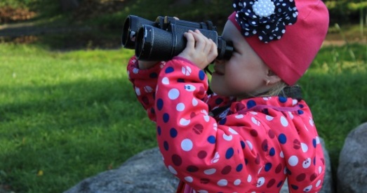 Гарадзенцы далучыліся да Еўрапейскіх назіранняў за птушкамі